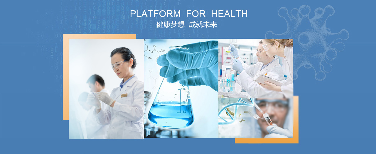 公司簡介